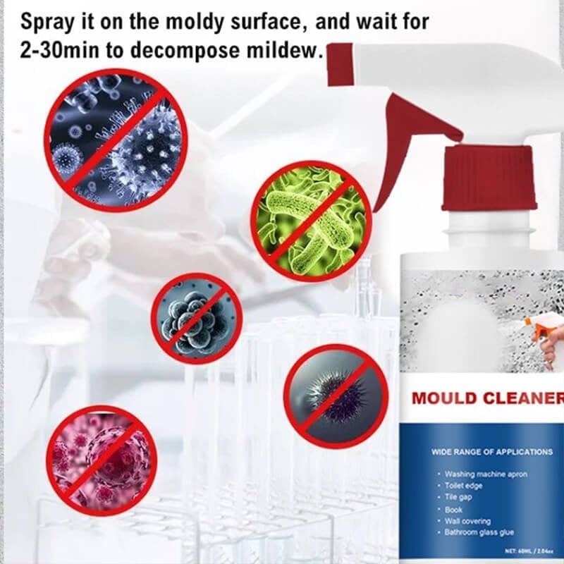 Anti-mould cleaning foam