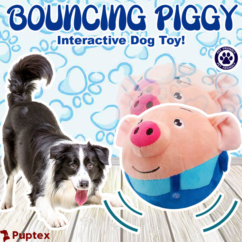 Bouncing Piggy  Interactive Dog Toy