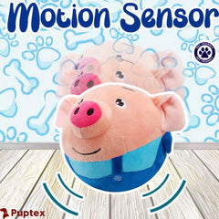 Bouncing Piggy  Interactive Dog Toy