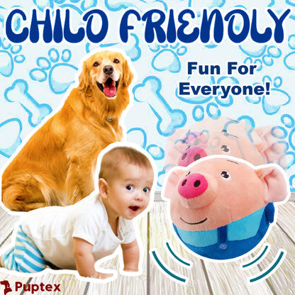 Bouncing Piggy  Interactive Dog Toy