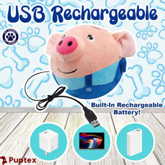 Bouncing Piggy  Interactive Dog Toy