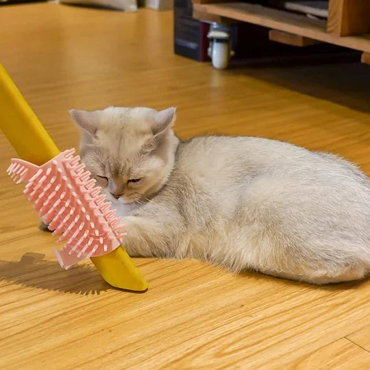 Cat Self Groomer Corner Scratcher