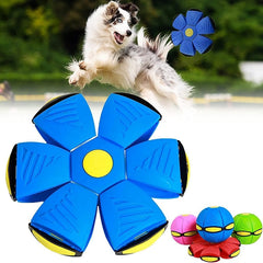 Dog Flying Saucer Ball - Free Today