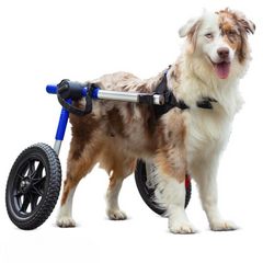 Dog Wheelchair