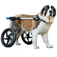 Dog Wheelchair