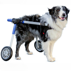 Dog Wheelchair