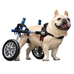 Dog Wheelchair