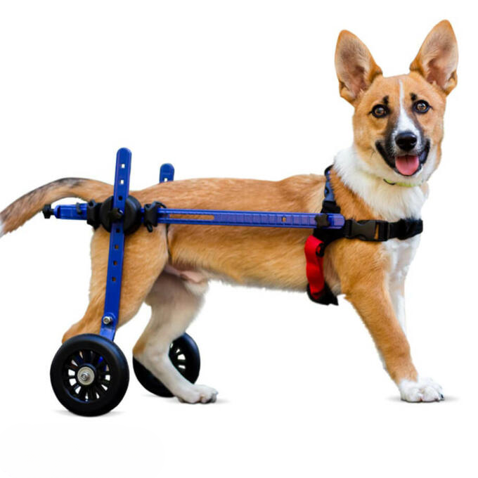 Dog Wheelchair