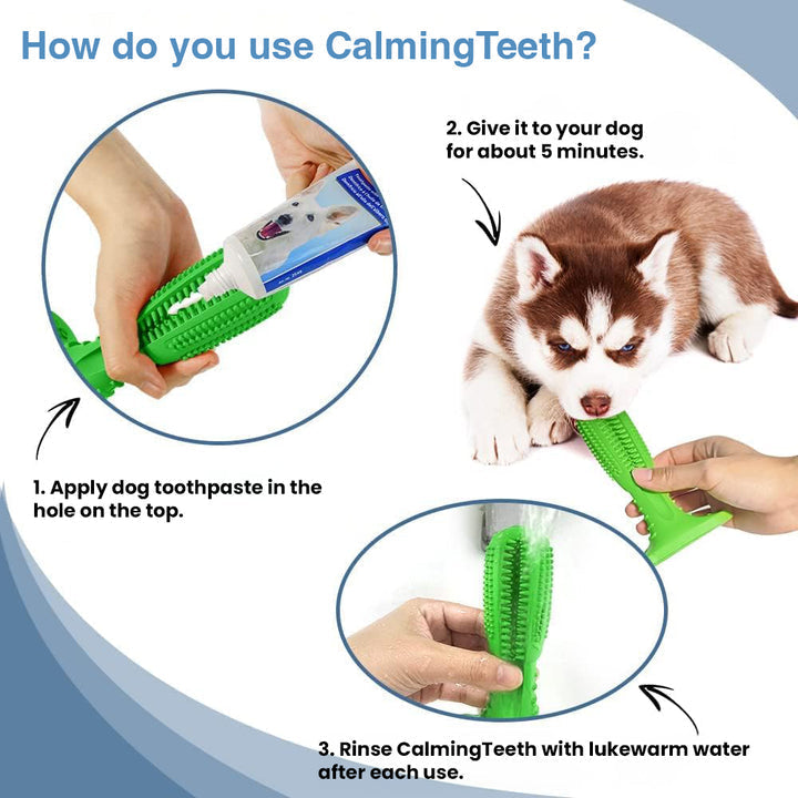 Dog toy and toothbrush, all in one!