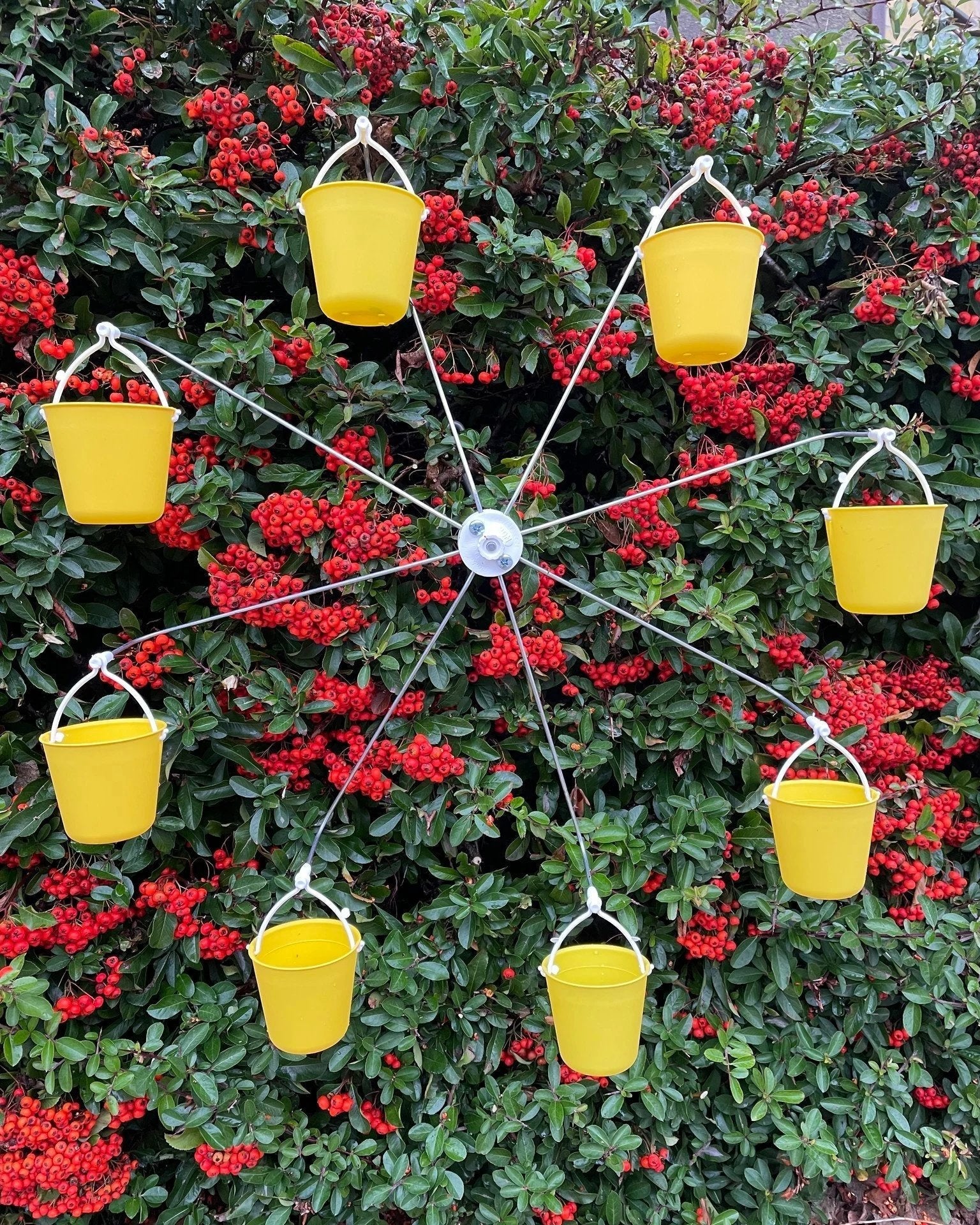 Ferris Wheel Bird Feeder