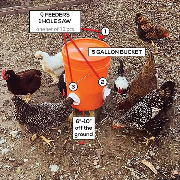 (🔥2024 New Year Hot Sale 30% OFF) DIY Chicken Feeder