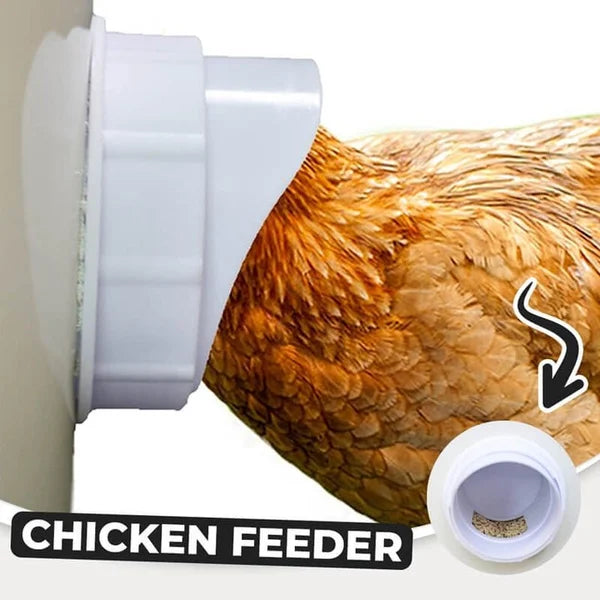 (🔥2024 New Year Hot Sale 30% OFF) DIY Chicken Feeder