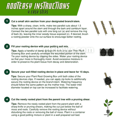 Clone Your Plants🌱 Like A Professional Horticulturist!